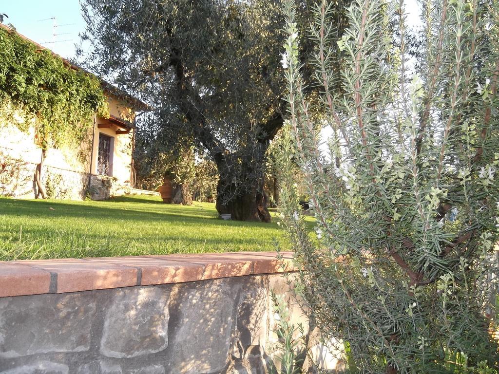 Podere La Casuccia Malmantile Zimmer foto